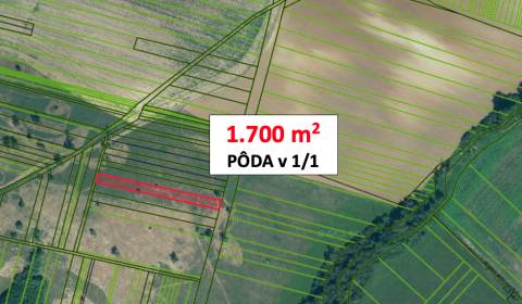 Bušince - 1.700 m2 PÔDA v 1/1 – PREDAJ