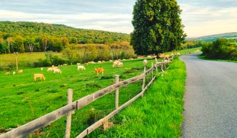 Ábelová (Lučenec) - 11.337 m2 ORNÁ PÔDA a LES – Predaj 