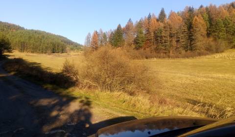 BRIEŠTIE- Hadviga lesný trávnatý pozemok 13 710 m2, vhodný na usadlosť