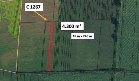 Fiľakovské Kováče – 4.300 m2 ORNÁ PÔDA 1/1 - Predaj