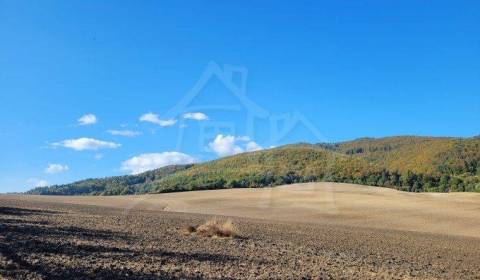 Väčší pozemok v prírodnom prostredí na okraji obce Zbora - Dohňany