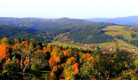 Korňa – 15.100 m2 LES NA PREDAJ