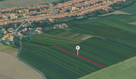 Budmerice – 2.805 m2 ORNÁ PÔDA v podiele 1/1 - Predaj