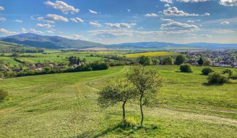 Trenčianska Turná – 5.000 m2 ORNÁ PÔDA podiel 1/1 – Predaj