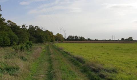 Rekreačný pozemok za Potočnou ul. v Báhoni, 30km od Bratislavy.