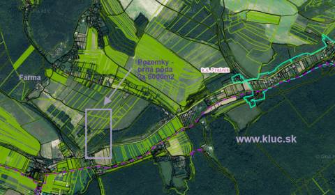 Orná pôda 2 x 6.000m2 v obci Prašník. okr. Piešťany