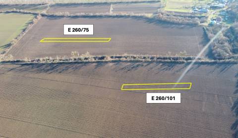 Zbudza – 4.336 m2 ORNÁ PÔDA podiel 1/1 – Predaj