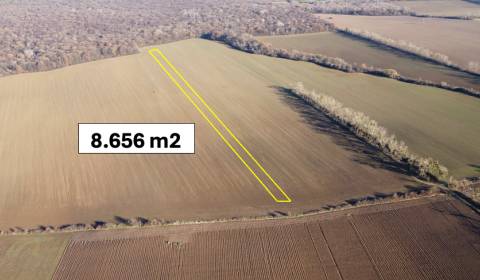 Zbudza - 8.656 m2 ORNÁ PÔDA podiel 1/1 – Predaj