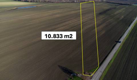 Vysoká pri Morave – 10.833 m2 ORNÁ PÔDA podiel 1/1 – Predaj