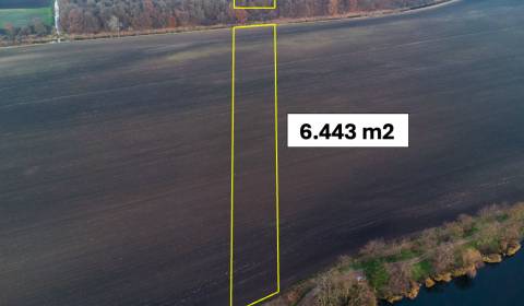 Vysoká pri Morave - 6.443 m2 ORNÁ PÔDA a LES podiel 1/1 – Predaj