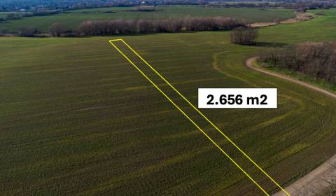 Vysoká pri Morave – 2.565 m2 ORNÁ PÔDA podiel 1/1 – Predaj