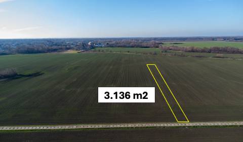 Vysoká pri Morave – 3.136 m2 ORNÁ PÔDA podiel 1/1 – Predaj