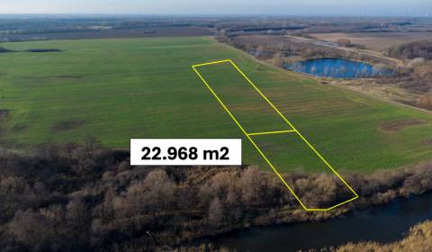 Vysoká pri Morave – 22.968 m2 ORNÁ PÔDA podiel 1/1 – Predaj