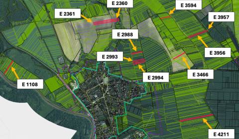 Vysoká pri Morave – 63.817 m2 ORNÁ PÔDA a LES podiel 1/1 - Na predaj