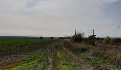 Orná pôda 2,3h s prístupom aj autom v Báhoni.