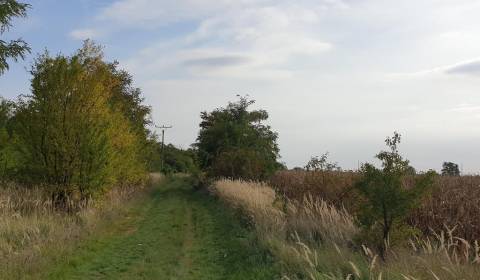 Rekreačný pozemok za Potočnou ul. v Báhoni, 30km od Bratislavy.