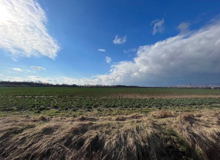 Orná pôda Pezinok 5 662 m2 k.ú. Pezinok, dostupná po poľnej ceste | NA PREDAJ