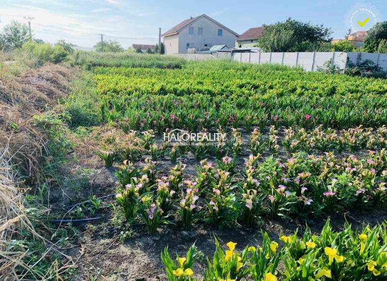 Tureň Pozemky - bývanie predaj reality Senec