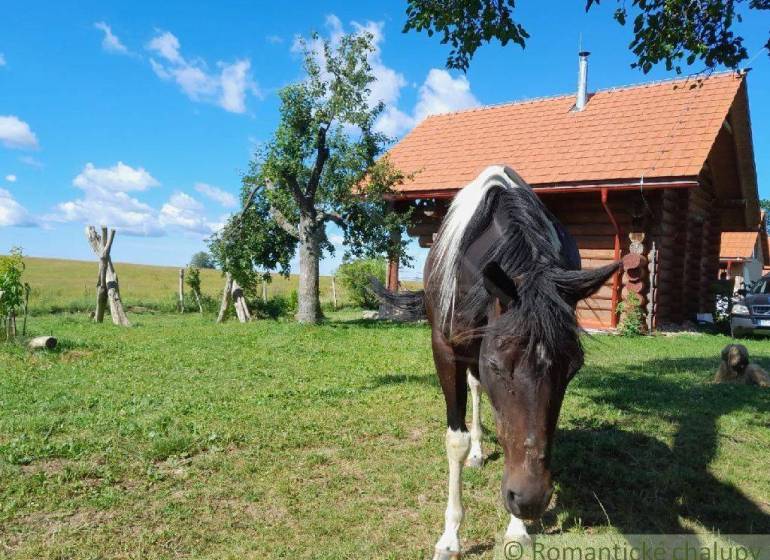 Zemiansky Vrbovok Chata predaj reality Krupina