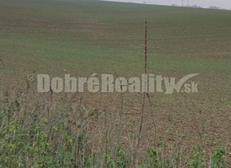 Nitra Poľnohospodárske a lesné pozemky predaj reality Nitra