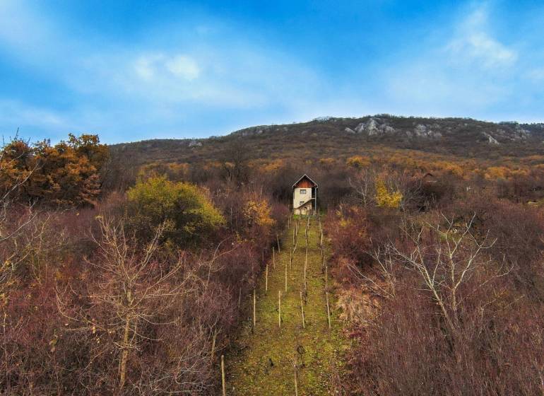 Predaj chatky s vinicou pri obci Hrhov