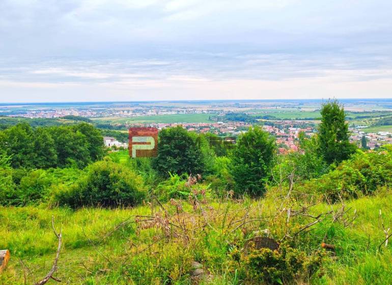 Limbach Pozemky - bývanie predaj reality Pezinok