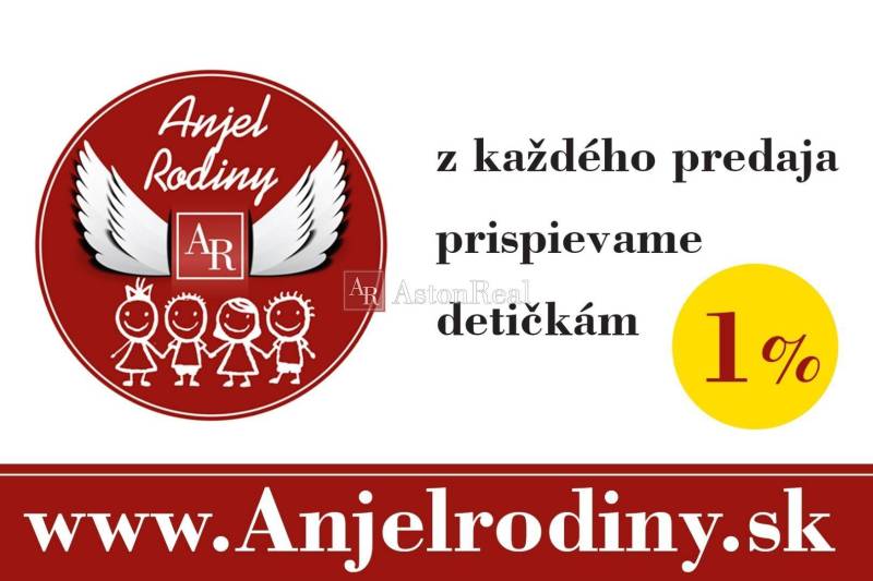 Anjel Rodiny