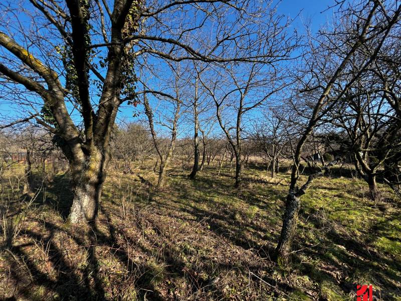 SLNEČNÝ REKREAČNÝ POZEMOK 1539 M2 S NÁDHERNÝM VÝHĽADOM - LAMAČ