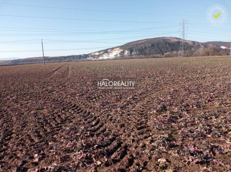 Oslany Pozemky - bývanie predaj reality Prievidza