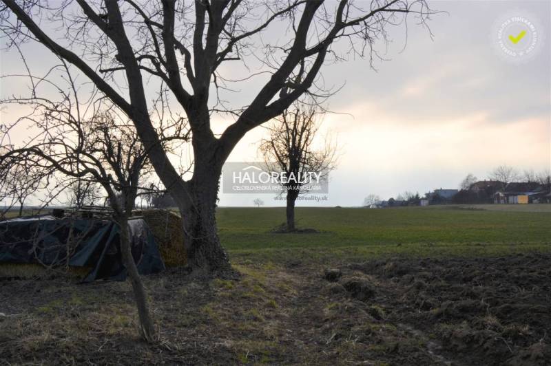 Radošina Rodinný dom predaj reality Topoľčany