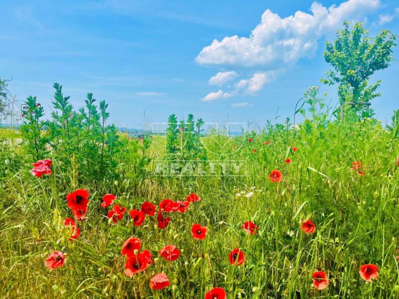 Moravany nad Váhom Pozemky - bývanie predaj reality Piešťany