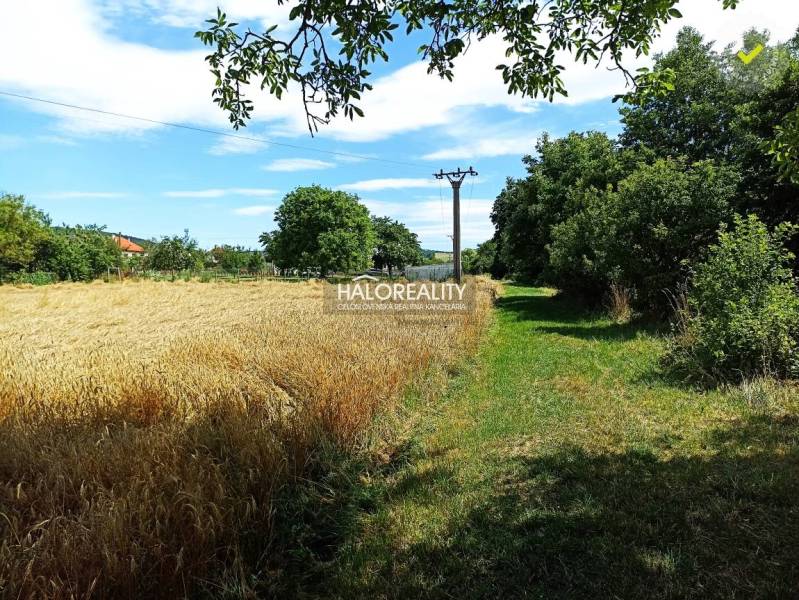 Jablonica Rodinný dom predaj reality Senica