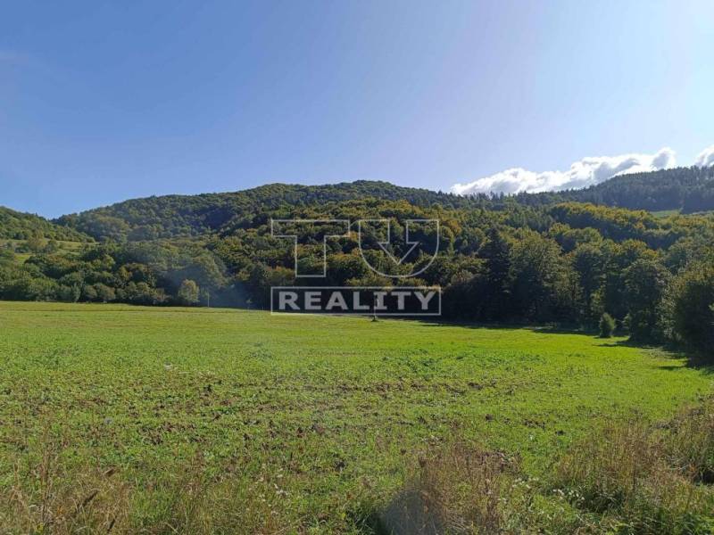 Udiča Rekreačné pozemky predaj reality Považská Bystrica