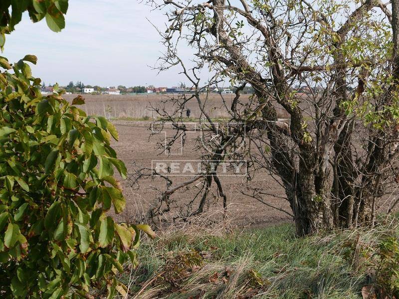 Veľký Biel Rekreačné pozemky predaj reality Senec