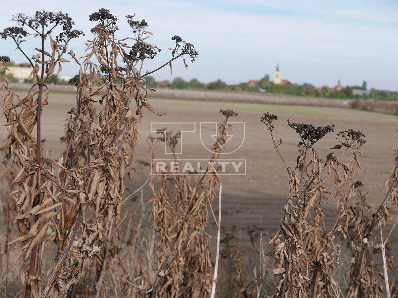 Veľký Biel Rekreačné pozemky predaj reality Senec