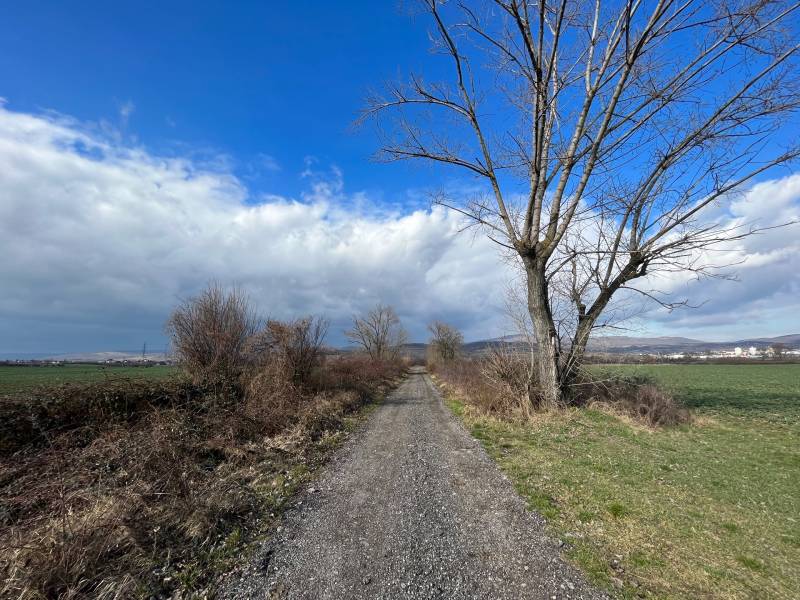 Orná pôda 5 662 m2 k.ú. Pezinok, dostupná po poľnej ceste | NA PREDAJ