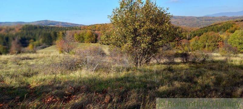 Ábelová Poľnohospodárske a lesné pozemky predaj reality Lučenec