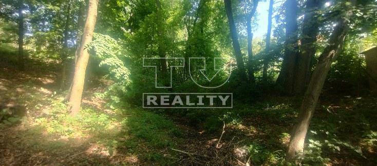 Stará Turá Rekreačné pozemky predaj reality Nové Mesto nad Váhom