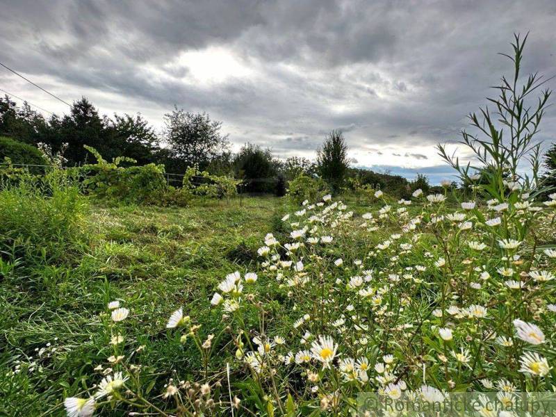 Komárno Pozemky - bývanie predaj reality Komárno