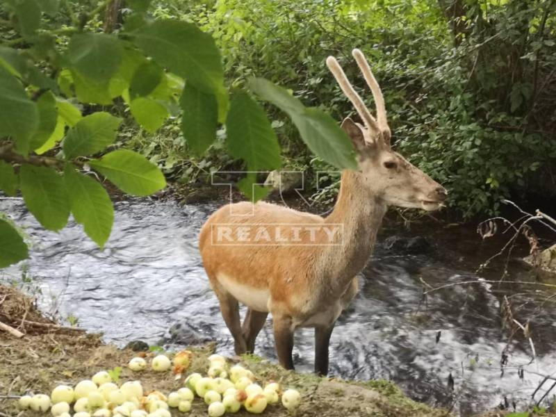 Turček Rodinný dom predaj reality Turčianske Teplice