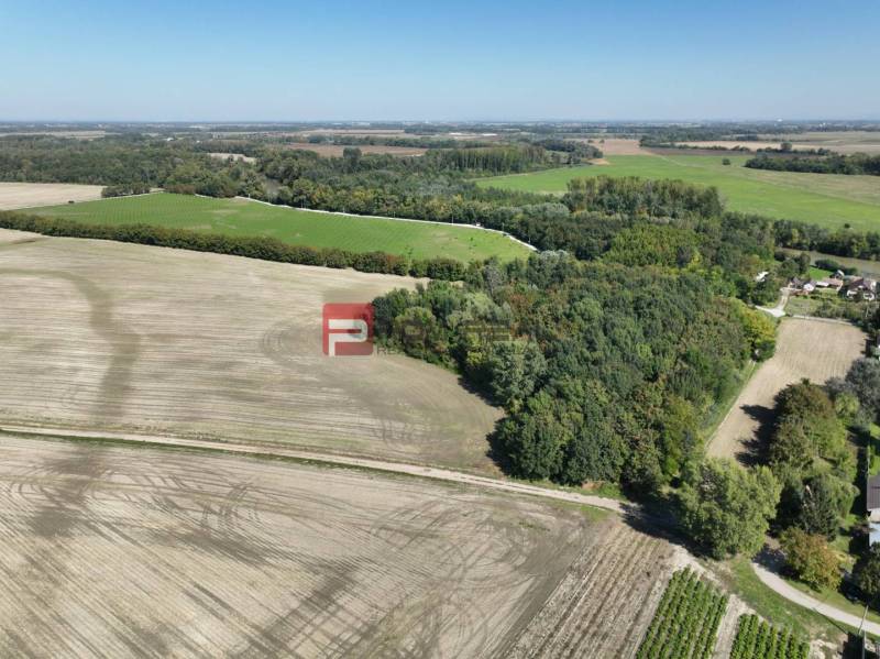 Potônske Lúky Rodinný dom predaj reality Dunajská Streda