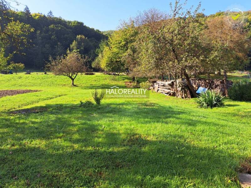 Bzenica Rodinný dom predaj reality Žiar nad Hronom