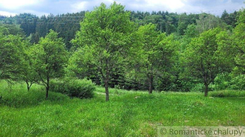 Veľké Rovné Pozemky - bývanie predaj reality Bytča