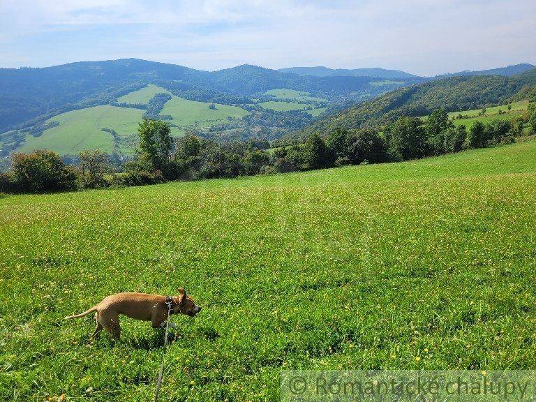 Púchov Záhrady predaj reality Púchov