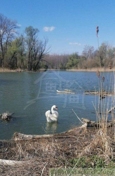 Dunajská Streda Rodinný dom predaj reality Dunajská Streda