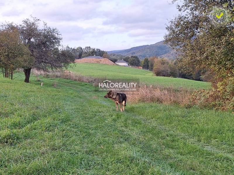 Seč Pozemky - bývanie predaj reality Prievidza