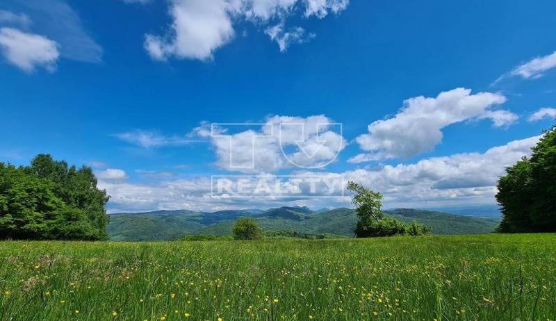 Horné Srnie Rekreačné pozemky predaj reality Trenčín