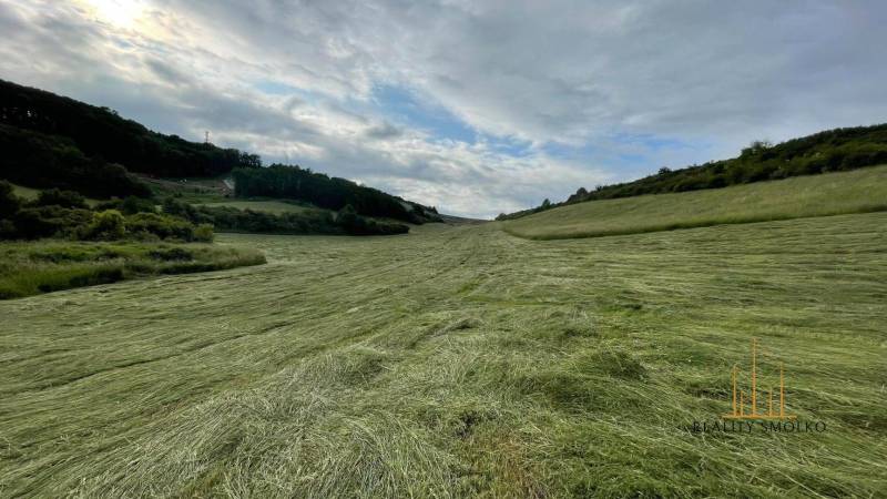 Prešov Poľnohospodárske a lesné pozemky predaj reality Prešov