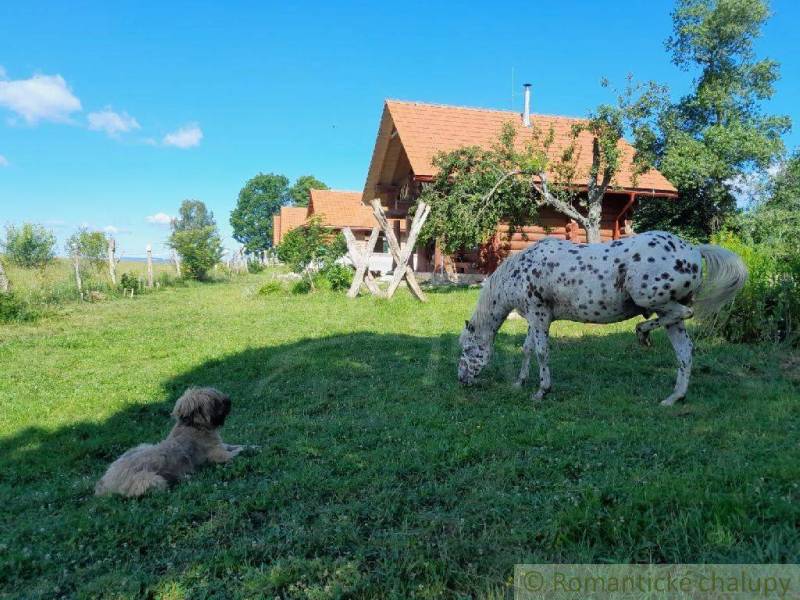 Zemiansky Vrbovok Chata predaj reality Krupina