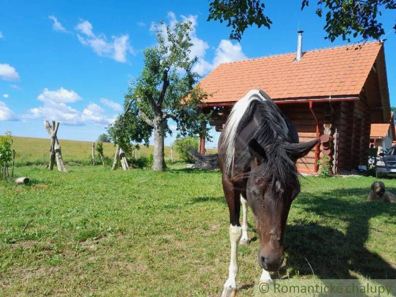 Zemiansky Vrbovok Chata predaj reality Krupina